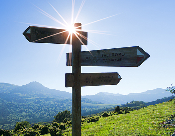 Signposts with sun in background, visual conception of outbound links from website